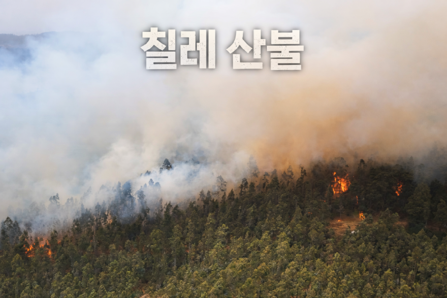 [크기변환]ChatGPT Image 2026년 1월 23일 오전 09_41_29.png