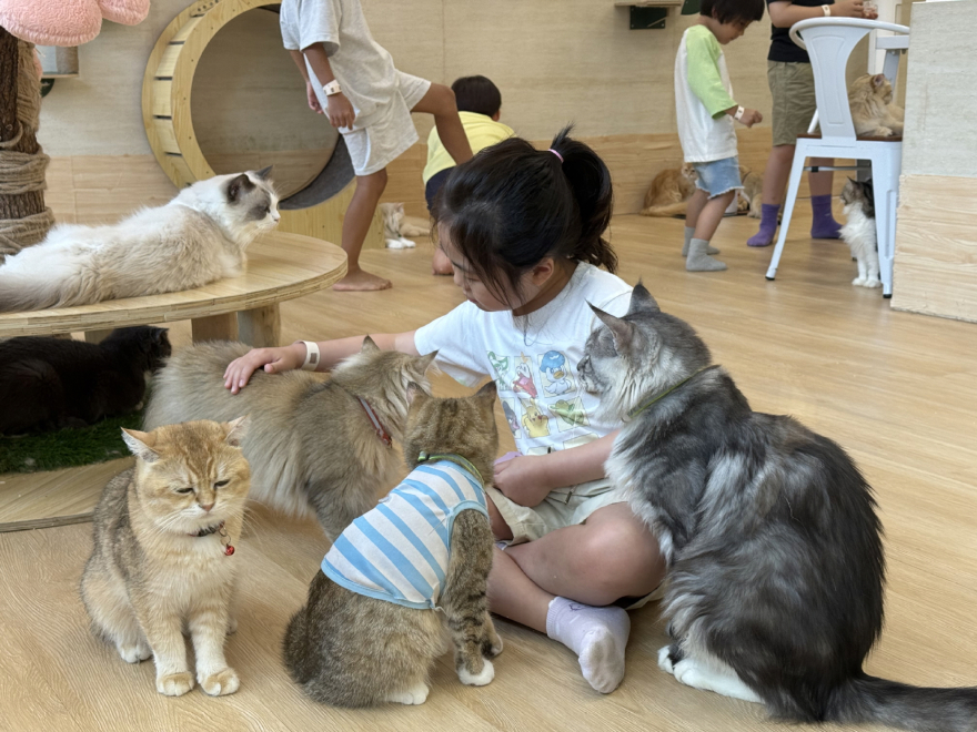 [크기변환]KakaoTalk_20260519_145445620_01.jpg