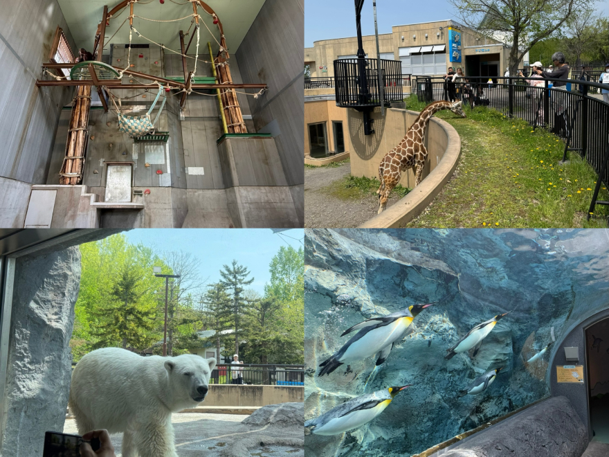 IMG_AA8952A9CF8F-1.jpeg