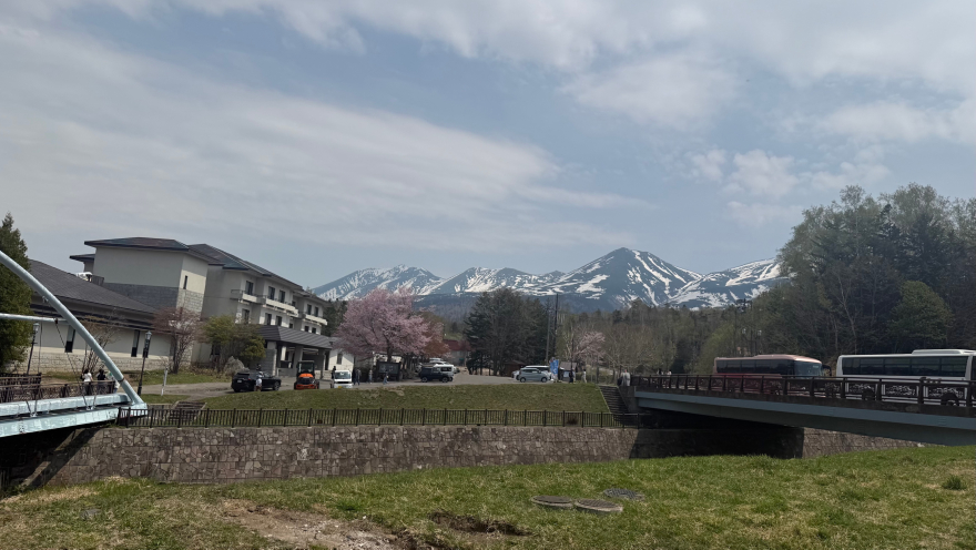 IMG_3369.jpeg