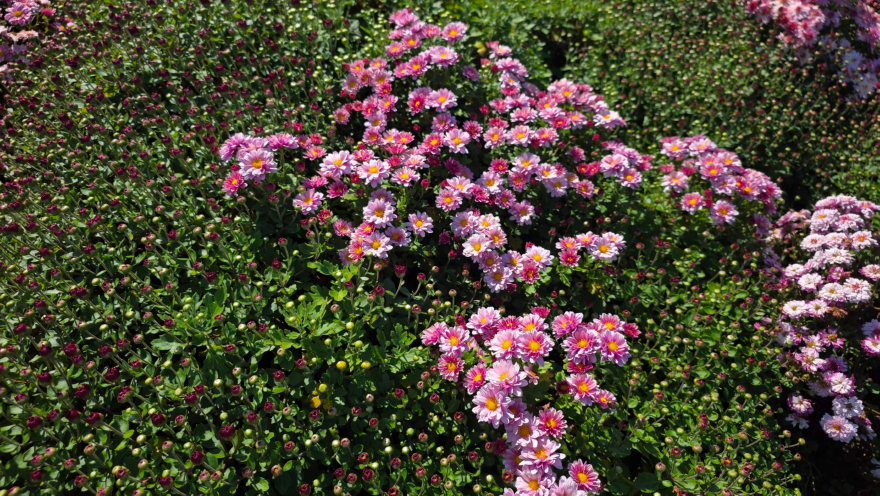KakaoTalk_20261010_125611543_04.jpg