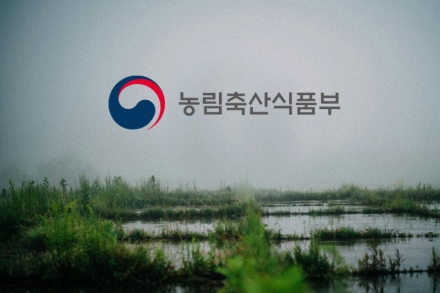 농식품부, 침수 피해 농가에 전략작물직불금 지급…신청 기간 7월 11일까지 연장