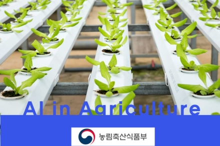 농식품부, ‘2025 스마트농업 인공지능 경진대회’ 개최…딸기 재배 AI 모델 개발 본격화