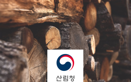 산불 피해목, APEC 정상회의 가구로 재탄생 추진