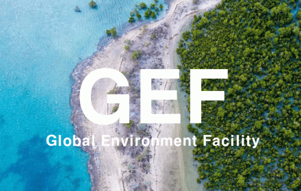지구환경기금(GEF: Global Environment Facility)... UNEP 주도 신규 환경 사업 4건에 5,280만 달러 승인