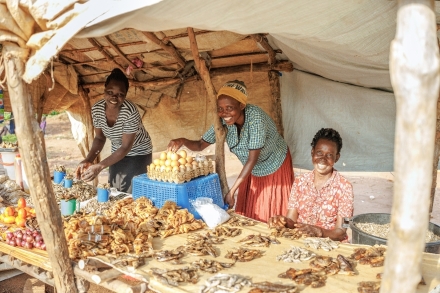 난민도 창업하면 빈곤 벗어난다… 동아프리카서 입증된 ‘자립형 지원 모델’