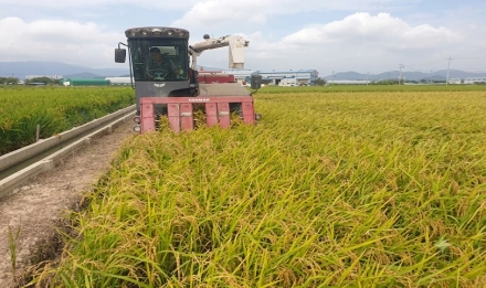 부산시, 지역특화쌀 ‘황금예찬’ 미식 콘텐츠 품평회 개최… 부산 대표 로컬 브랜드로 육성