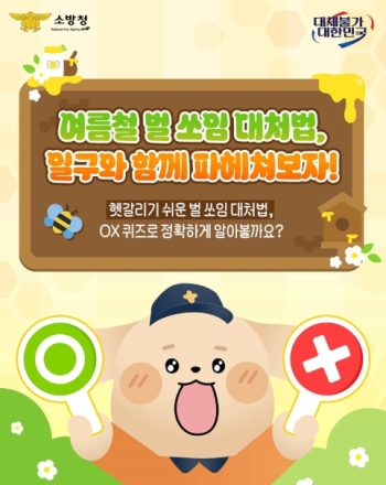 여름철 벌 쏘임 사고 주의…벌집 건드리지 말고 신속히 대피해야