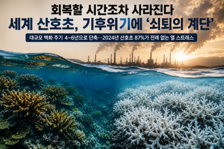 회복할 시간조차 사라진다…세계 산호초, 기후위기에 ‘쇠퇴의 계단’