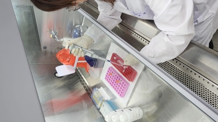경기도, 가을철 농작업·야외활동 앞두고 진드기 매개 감염병 주의 당부