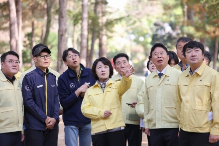 가평 소나무재선충병 피해 5년 새 16배 증가…경기도, 특별방제구역 지정 지원