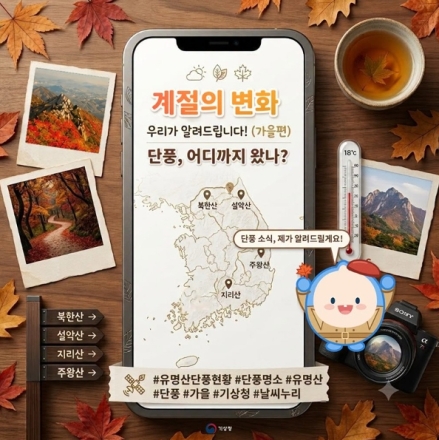 설악산부터 시작된 가을 단풍…전국 유명산 절정 시기는 언제?