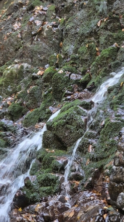 [한국의 명소] 양양 미천골 깊은 숲속에 숨은 두 폭포…불바라기 약수터로 떠나는 특별한 하이킹