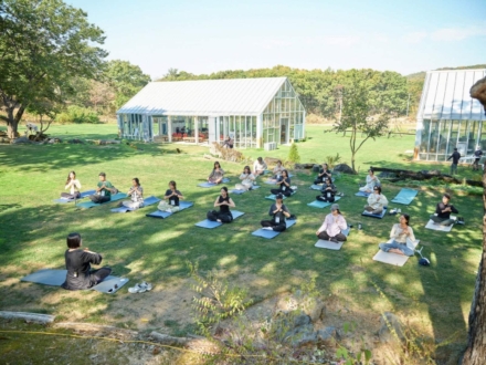 민통선 숲에서 쉼과 예술을 만나다…파주 ‘Re’ 웰니스 여행 10월 일정 마무리