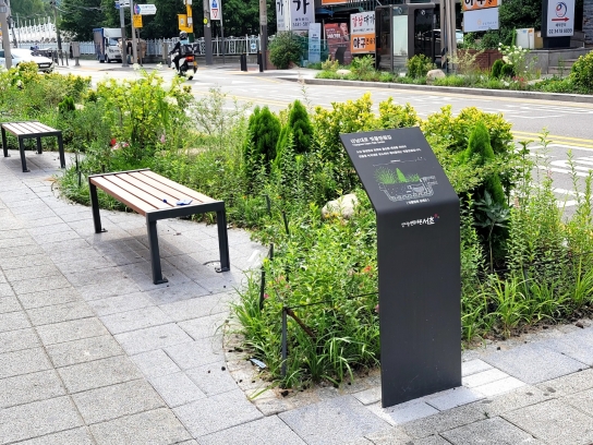 서초구청의 친환경 경영 –  ‘강남대로 빗물 정원길’