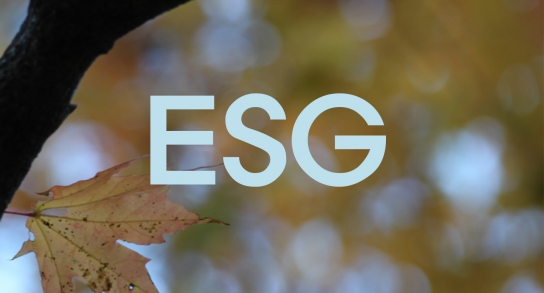 [ESG스터디] ESG가 무엇인가요?