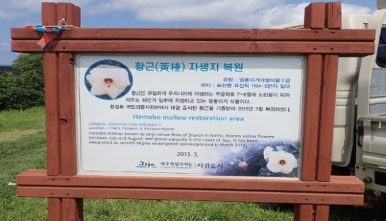 환경부, 멸종위기 야생생물 Ⅱ급 황근, 성공적 복원