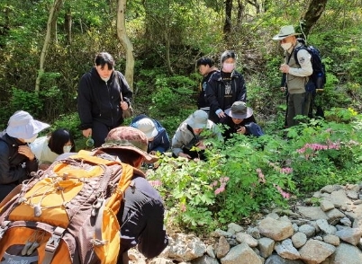 환경부, 추석맞아 국립공원 야생화 꽃길 21곳 추천