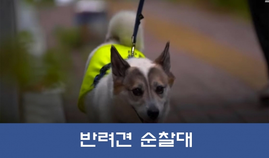 서울 반려견 순찰대, ‘약자와의 동행’