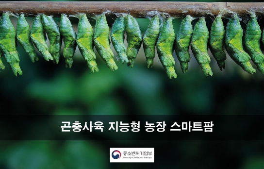 스마트팜 곤충사육 통해 발달장애인 경제적 자립 지원