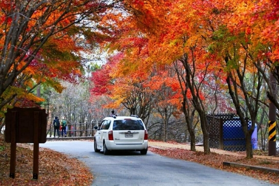 가을에 떠나는 채색 여행