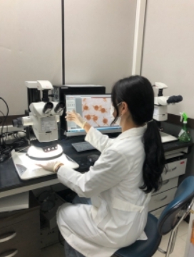 충북도, 가을철 야외활동 시 진드기 물림 주의