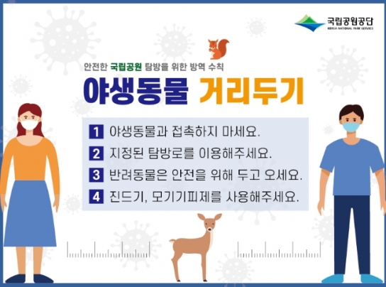 환경부, 국립공원에서 야생동물과 거리를 두세요