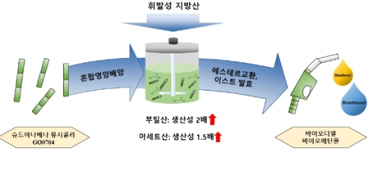 환경부, 바이오연료 후보 미생물 찾았다