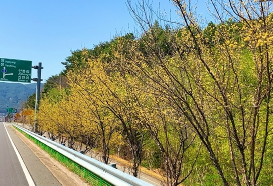 산청군, ‘도시숲·녹지공간 조성’ 최우수기관