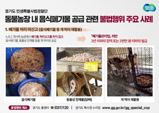 신고 없이 음식폐기물을 개·닭 먹이로… 경기도 특사경, 음식폐기물 공급 동물농장 불법행위 무더기 적발