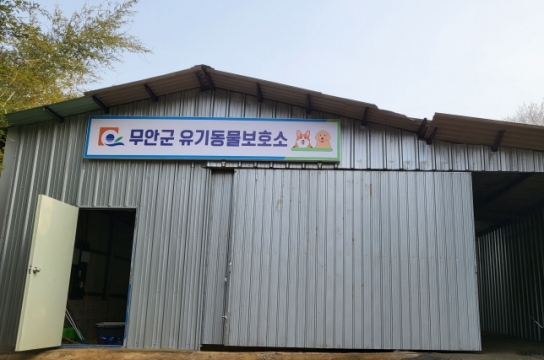 무안군, 유기·반려 동물 전담 동물복지팀 신설