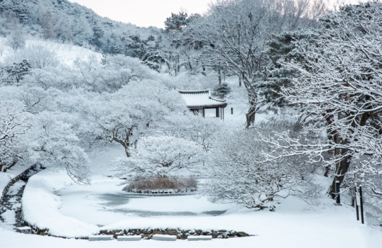 전남도, 남도 역사 깃든 ‘으뜸숲’ 12곳 선정
