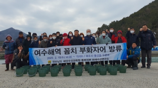 전남해양수산과학원, 겨울철 소득원 꼼치 자원 회복