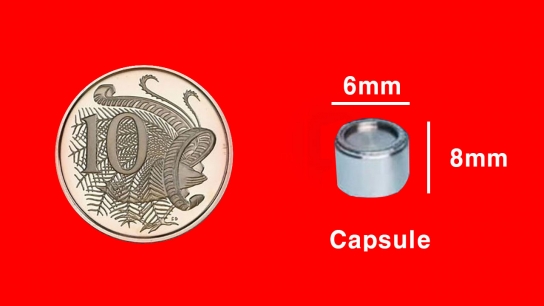 [ESG 글로벌] 호주, 6mm x 8mm ‘방사성 캡슐’ 분실로 잠재적 위험 노출