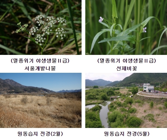환경부, 멸종위기 야생생물 시민과 함께 지킨다