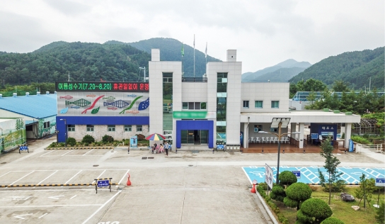 포항 장기천에서 어린 연어 방류행사 열려!!