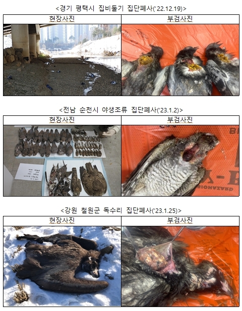 환경부, 올겨울 야생조류 집단폐사 46건 중에 11건 농약중독