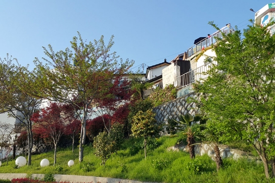 행정안전부, 인구 감소 해결을 위한 ‘청년마을’ 조성사업 시행