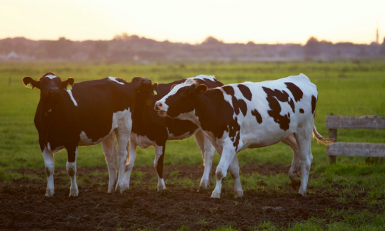 환경부·인제군·현대건설, 가축분뇨 통합 바이오가스화 추진 위해 협력