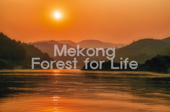 UNEP, 로어 메콩(Lower Mekong)의 ‘삼림 보호를 위한 소비자 행동의 핵심’
