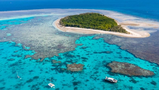 호주 그레이트 배리어 리프(Great Barrier Reef), 유네스코 ‘위험’ 목록에서 빠져