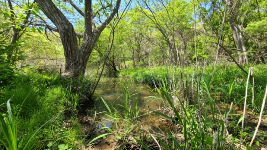 산림청, 비무장지대(DMZ) 새로운 산림습원 9개소 발견