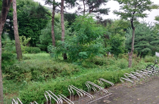 용인특례시, 상갈역 주변 공터 정원으로 변신