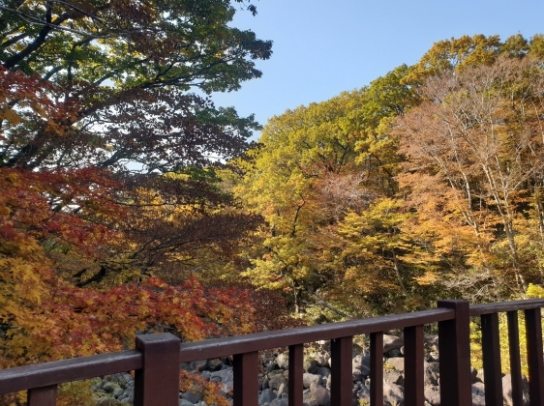 기상청, 26일 한라산 단풍 절정