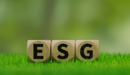 [권오영의 ESG브랜딩] B2B와 중소기업이 우선적으로 ESG경영을 도입해야 하는 이유
