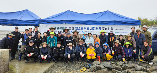한국중부발전, 보령방조제 갯벌생태계 복원 및 블루카본 조성을 위한 염생식물 식재 추진