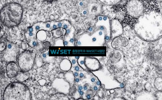 충청권역 R-WeSET사업단, ‘병원성 미생물 실습교육’ 성료