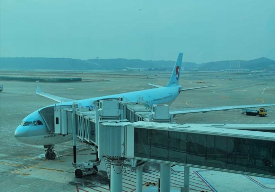 대한항공 아시아나 인수, 글로벌 경쟁 위축 우려와 거버넌스 문제 제기