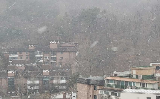 서울의 봄을 덮친 눈, 지구 온난화의 역설적 경고