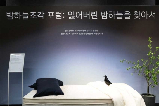 빛 공해, 인간의 건강을 위협하다… 슬로우베드, ‘밤하늘조각 포럼’ 개최